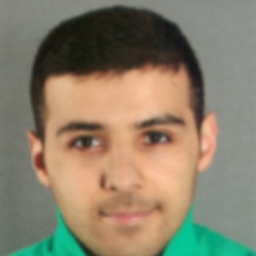 Artashes Davtyan's profile picture