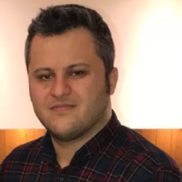 Ing. reza karimian