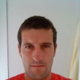 Miguel Angel ganfornina Ruiz