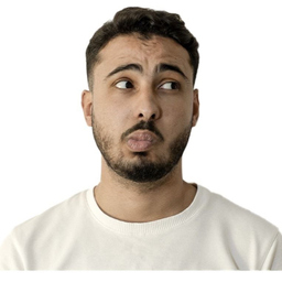 Anas El Addaoui