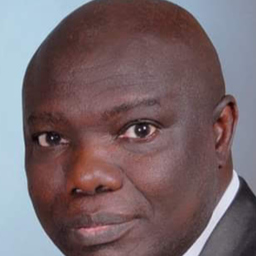 Prof. Dr. Dr. Paul Oluwole-Olusegun's profile picture