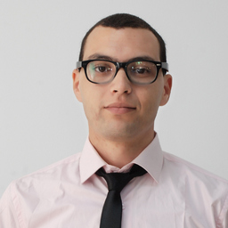 Wajih Ben Mhenni