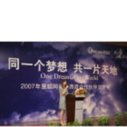 Prof. 莉 王