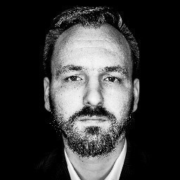 David Herzog's profile picture