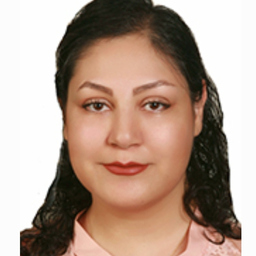 Nazanin Chitsaz Zadehahmadi