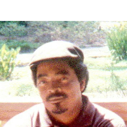 Mickey Hayes