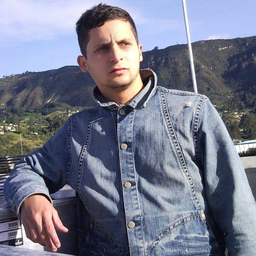 Cristian David Avila H.