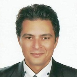 Mohamed Fateen