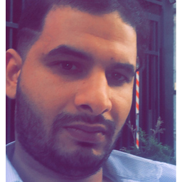 Amine Raki