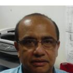 Ildemaro zanotty Portillo