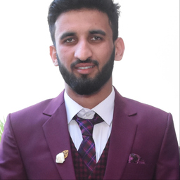 Hussnain Raza