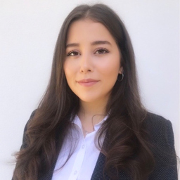 Alara Sarmisak
