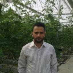MEHMET TAŞ