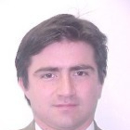 David Vilches Pino