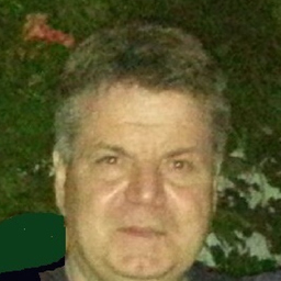Profilbild Alexandru-Ion Ivascu