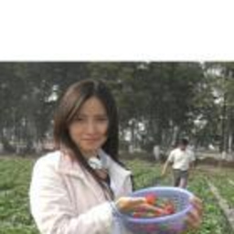 德聪 Li