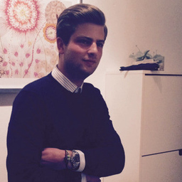 Dr. Stefan Bollmann M.Sc.