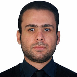 Seyedmilad Madani
