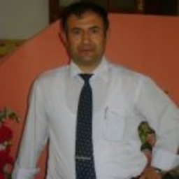 Metin Çaylak