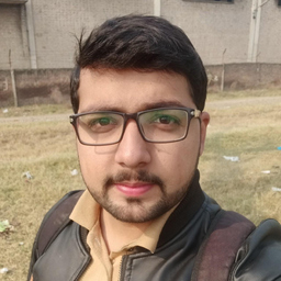 Hamza Aleem