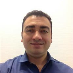 Ing. Luiz Pedro