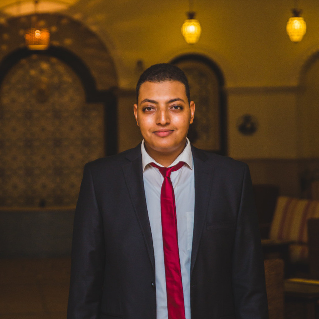 Abdelrahman Hamada Automation Engineer METITO XING