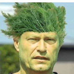 timo knoessel
