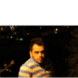 Tamer Ergin