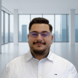 Tolga Basogul's profile picture