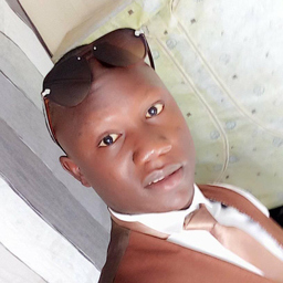 Ibrahim Diseh Garba