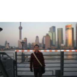龙 杨
