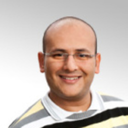 Rany Ishak