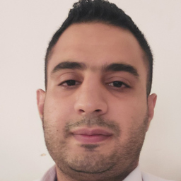 Alaa Amin