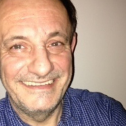 Sinisa Stojanovic