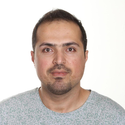 Ehsan Mardani's profile picture