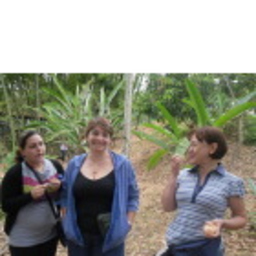 N.N. pareja porras