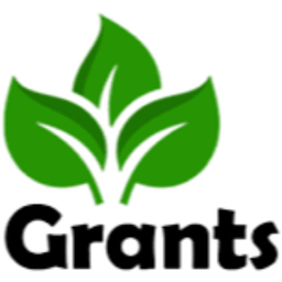Eco Boiler Grants