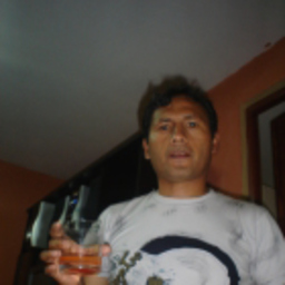JULIO FLORES VICUÑA