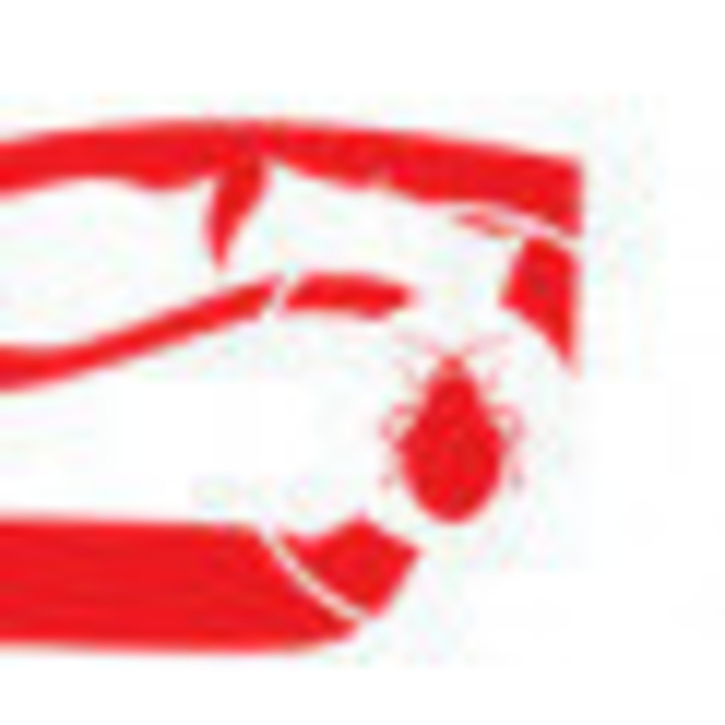 Bed Bug Exterminator NYC CEO Bed Bug Exterminator NYC XING