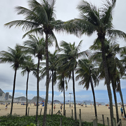 Karen Nataly Suárez Remolina