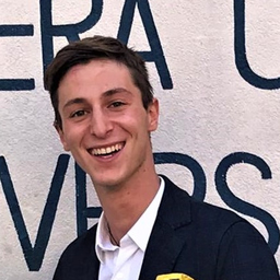 Luca Bisesti's profile picture