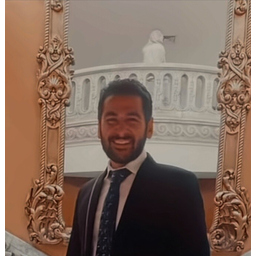 Ramez Tawfik