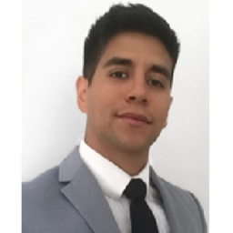 Luis Fernando Arrieta Vargas