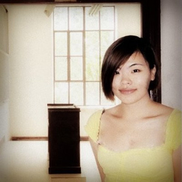Chenxi GAO