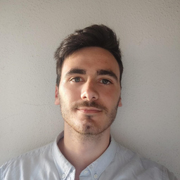 Marcel del Toro