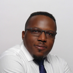 Herve P Ndoki