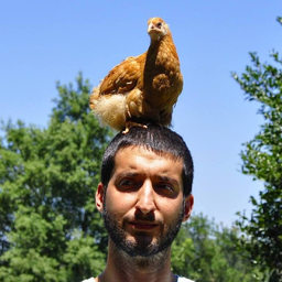 Rui Esteves's profile picture