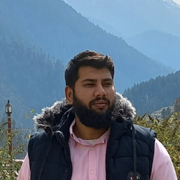 Muhammad Wajahat Shahid