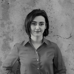 Shadi Aghamohammad