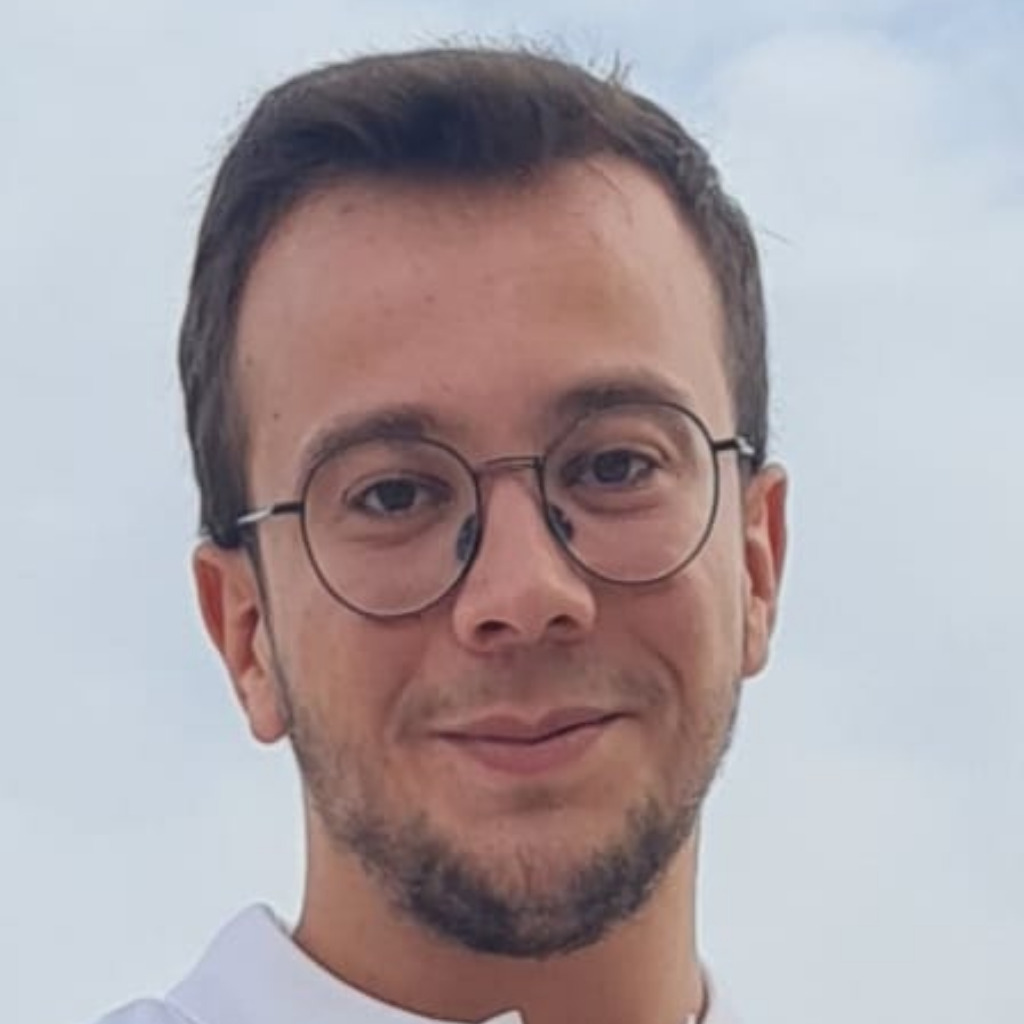 ZIED MAALOUL Werkstudent Expleo Group XING